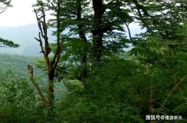 中法合作话剧《悲惨世界》在京首演