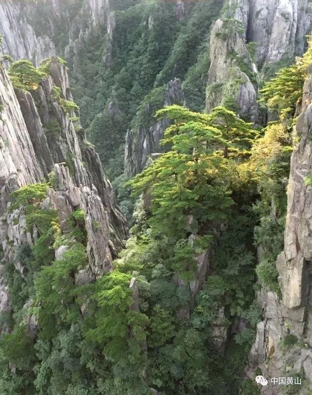 2024黑珍珠餐厅指南来了!杭州上榜16家餐厅,还有一道菜入选首届“年度菜品奖”,你吃过吗?