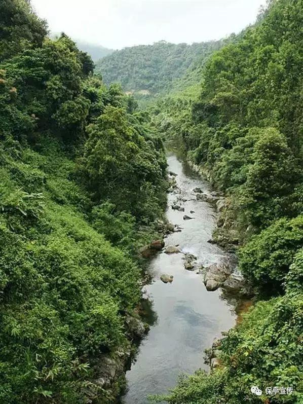 机智问答网页-快速解答各类问题-