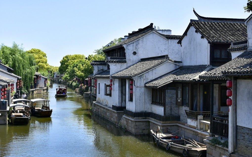 植物大战僵尸3
